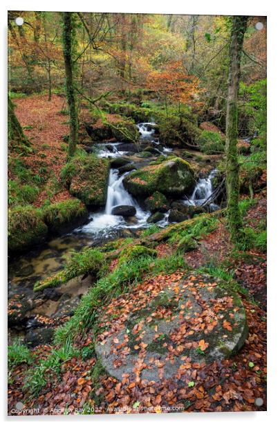 Autumn at Kennall Vale Millstone Acrylic by Andrew Ray