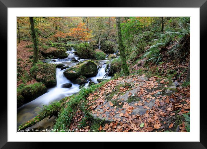 Mill stone at Kennall Vale  Framed Mounted Print by Andrew Ray