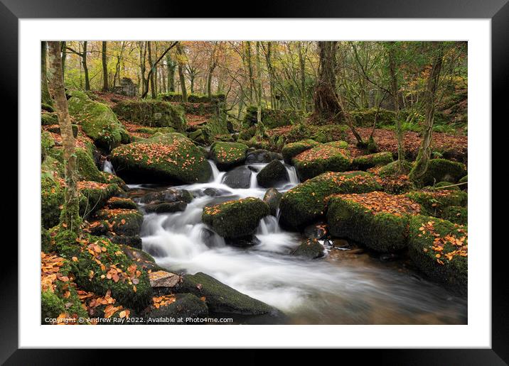 River Kennall in autumn  Framed Mounted Print by Andrew Ray