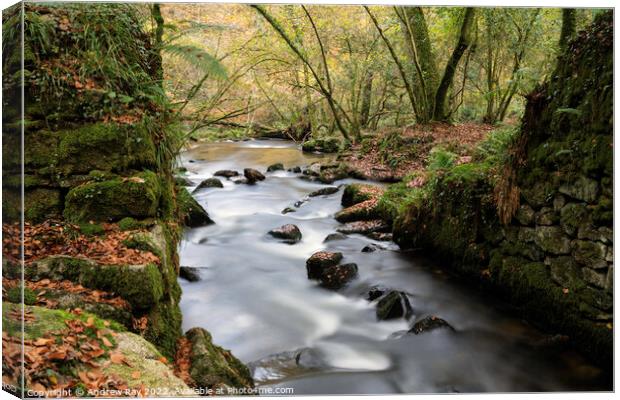 River view (Kennall Vale) Canvas Print by Andrew Ray