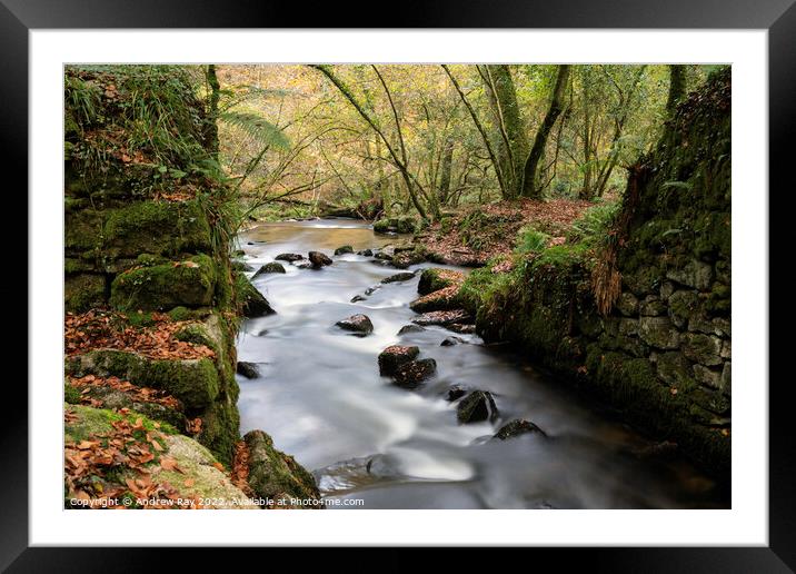 River view (Kennall Vale) Framed Mounted Print by Andrew Ray