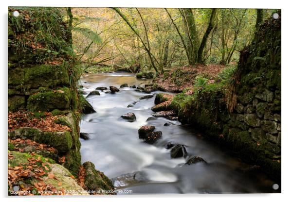 River view (Kennall Vale) Acrylic by Andrew Ray