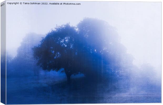 Tree in Blue Fog Blue Monochrome Canvas Print by Taina Sohlman