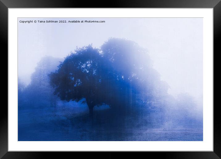 Tree in Blue Fog Blue Monochrome Framed Mounted Print by Taina Sohlman
