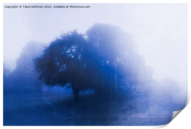 Tree in Blue Fog Blue Monochrome Print by Taina Sohlman