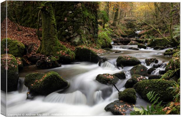 River Kennall Nature Resevre  Canvas Print by Andrew Ray