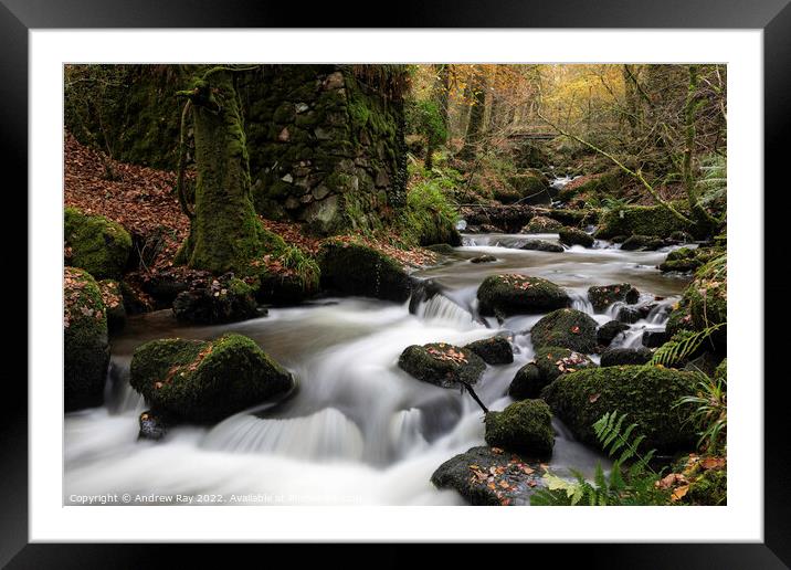 River Kennall Nature Resevre  Framed Mounted Print by Andrew Ray
