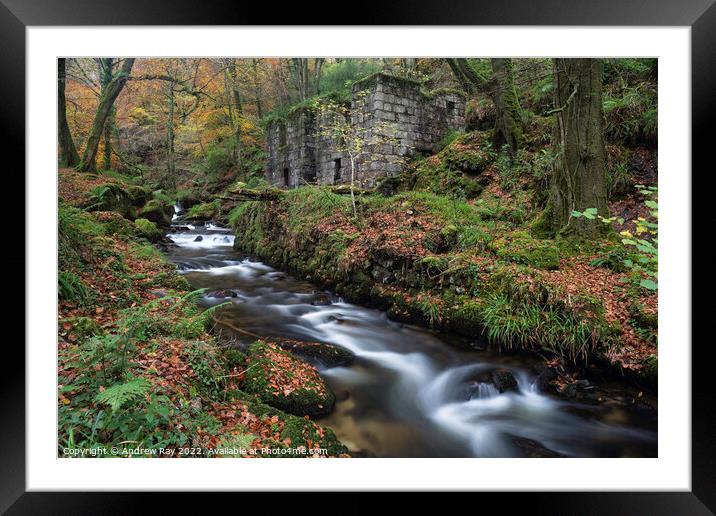 Gunpowder workings at Kennall Vale  Framed Mounted Print by Andrew Ray