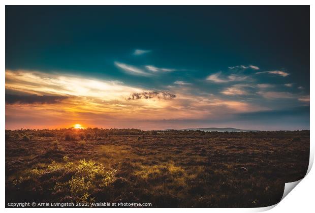 Majestic Sunset Beauty Print by Arnie Livingston