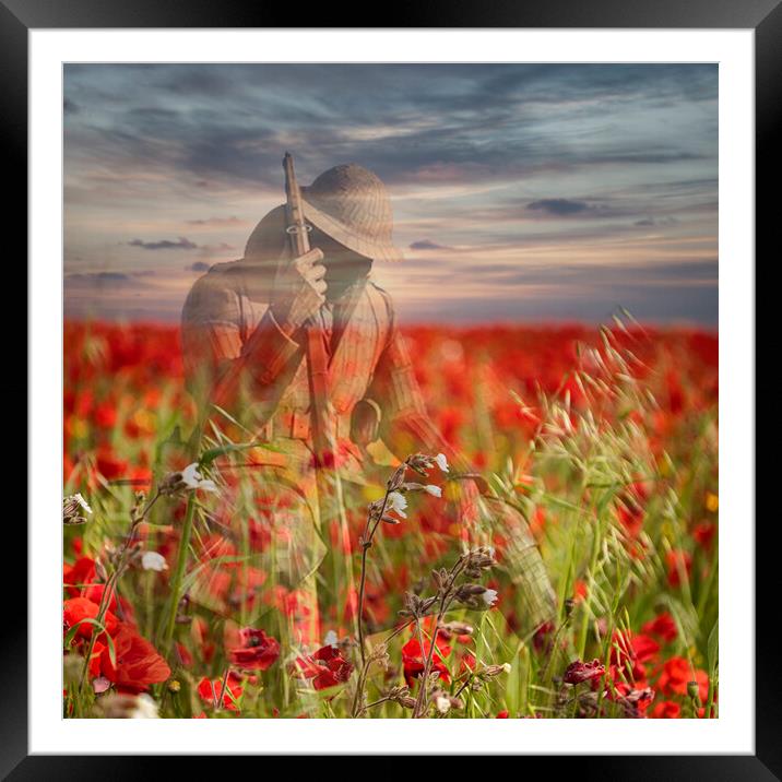 Poppy Day Lest We Forget Remembrance Framed Mounted Print by kathy white