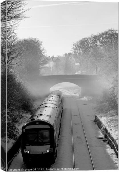 Diesel Train Leaving Harrogate on a Misty Winter Morning. Canvas Print by Steve Gill