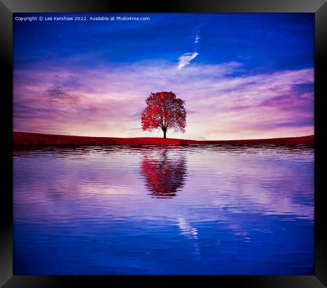 "Crimson Reflection: Solitary Tree Gracefully Ador Framed Print by Lee Kershaw