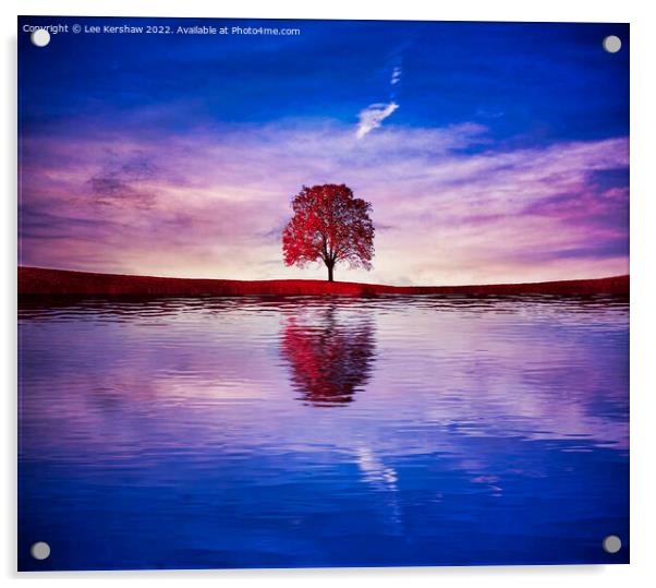 "Crimson Reflection: Solitary Tree Gracefully Ador Acrylic by Lee Kershaw