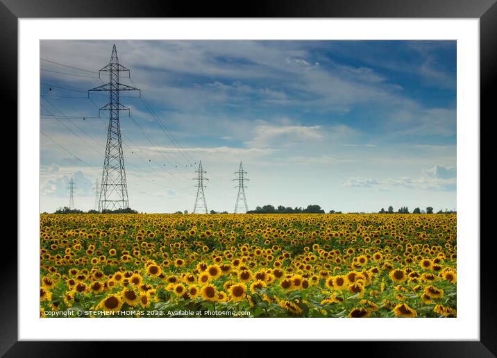 Sunflower with Power Framed Mounted Print by STEPHEN THOMAS