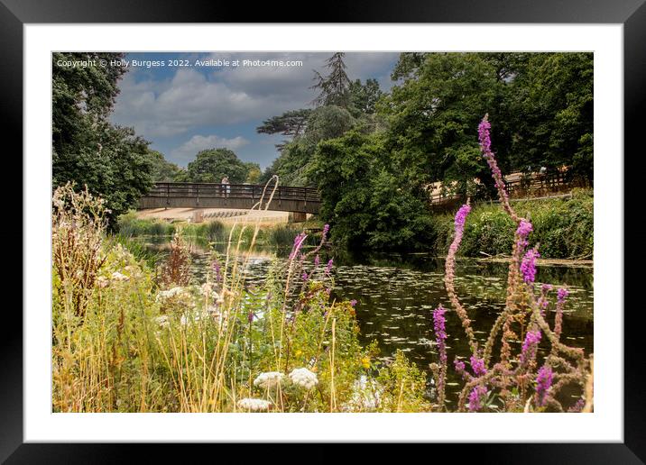 Warwick grounds by the river Avon  Framed Mounted Print by Holly Burgess