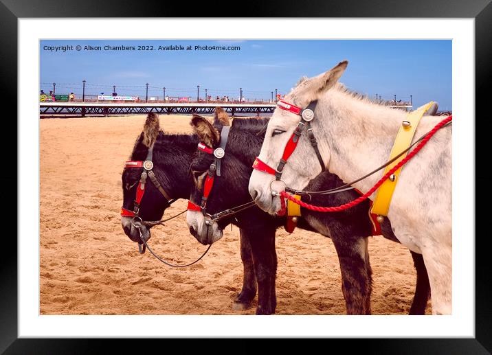 Skegness Three Donkeys Framed Mounted Print by Alison Chambers