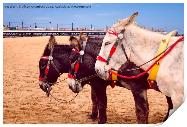 Skegness Three Donkeys Print by Alison Chambers