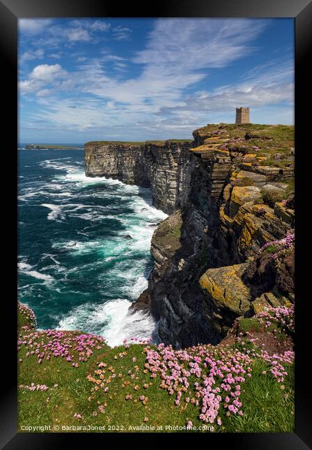 Marwick Head in Summer  Orkney Isles Scotland Framed Print by Barbara Jones