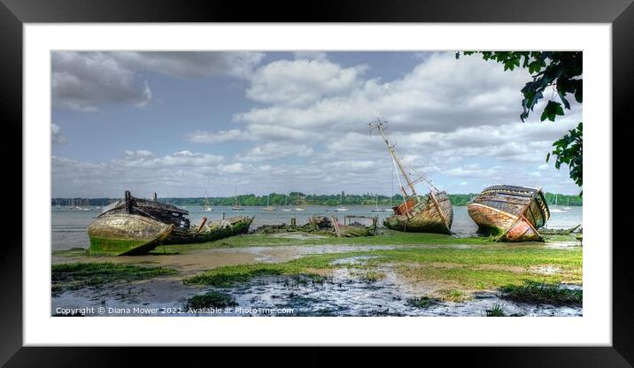 River Orwell Wrecks Framed Mounted Print by Diana Mower