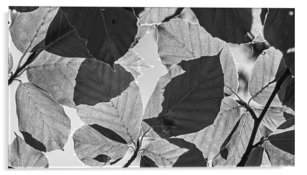 Checkerboard leaves Acrylic by Cliff Kinch