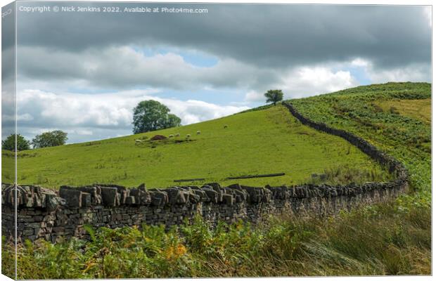 Drystone Wall separating a meadow from the bracken hillside Brecon Beacons Canvas Print by Nick Jenkins