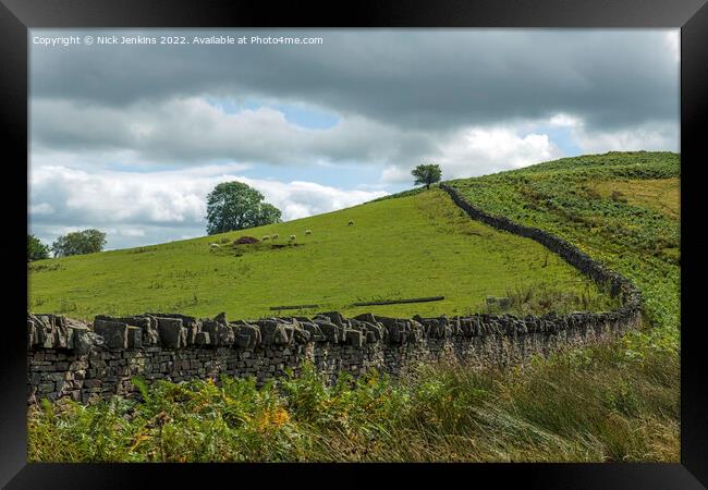 Drystone Wall separating a meadow from the bracken hillside Brecon Beacons Framed Print by Nick Jenkins