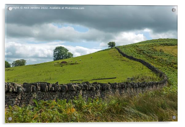 Drystone Wall separating a meadow from the bracken hillside Brecon Beacons Acrylic by Nick Jenkins