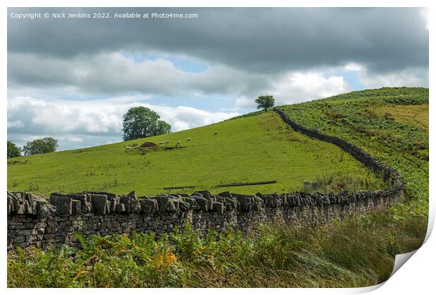 Drystone Wall separating a meadow from the bracken hillside Brecon Beacons Print by Nick Jenkins