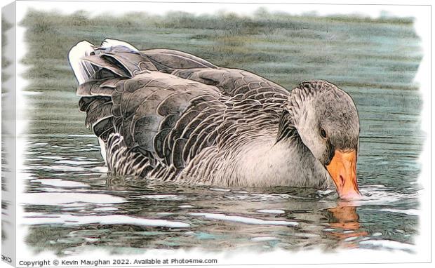 Duck On The Water 2 (Digital Art Sketch) Canvas Print by Kevin Maughan