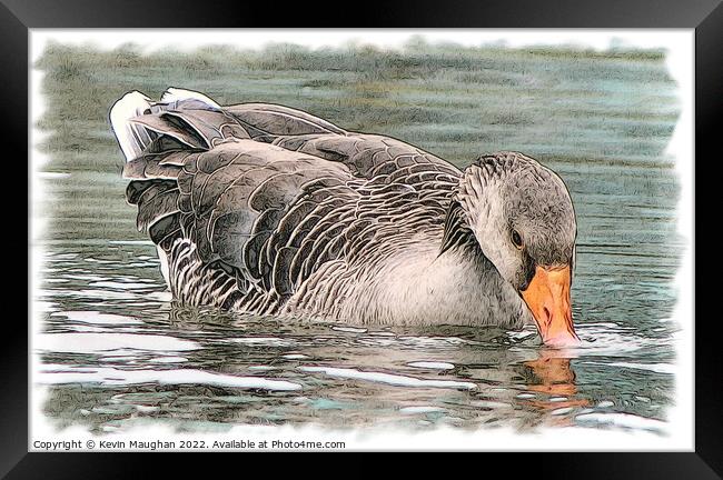 Duck On The Water 2 (Digital Art Sketch) Framed Print by Kevin Maughan
