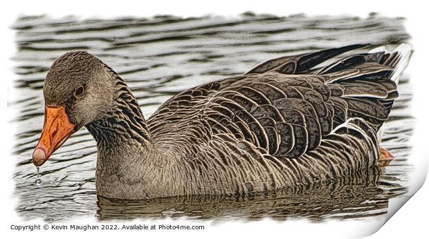 Majestic Duck on Tranquil Waters Print by Kevin Maughan