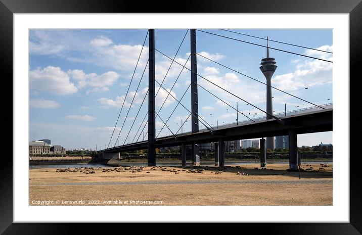Climate change - severe drought in Düsseldorf, Germany Framed Mounted Print by Lensw0rld 
