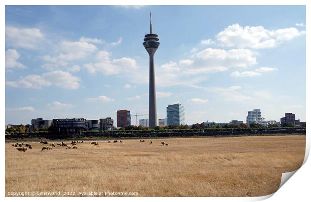 Climate change - severe drought in Düsseldorf, Germany Print by Lensw0rld 