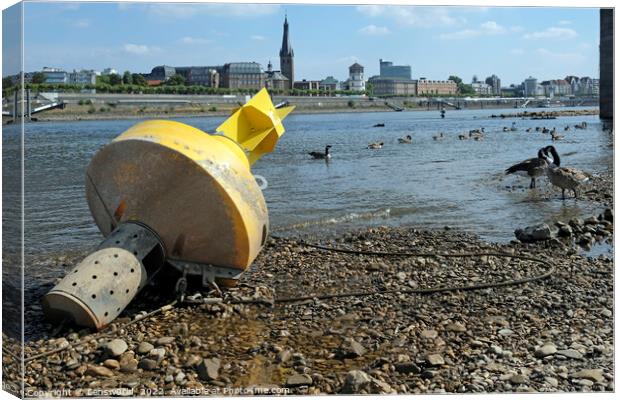 Climate change - severe drought in Düsseldorf, Germany Canvas Print by Lensw0rld 