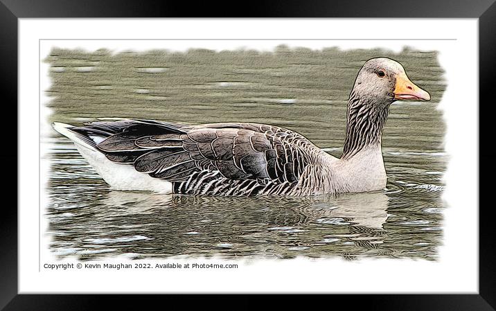 Duck On The Water 3 (Digital Art Sketch) Framed Mounted Print by Kevin Maughan