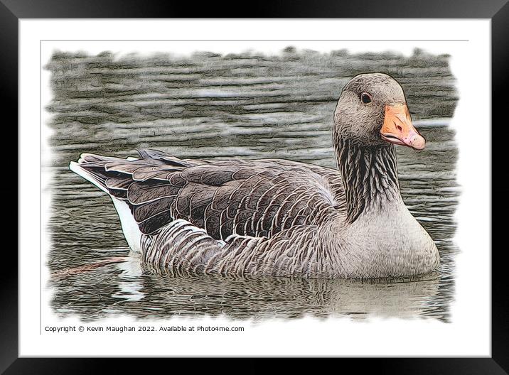 Duck On The Water 1 (Digital Art Sketch) Framed Mounted Print by Kevin Maughan