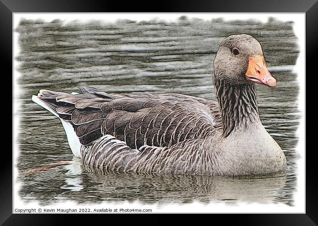 Duck On The Water 1 (Digital Art Sketch) Framed Print by Kevin Maughan