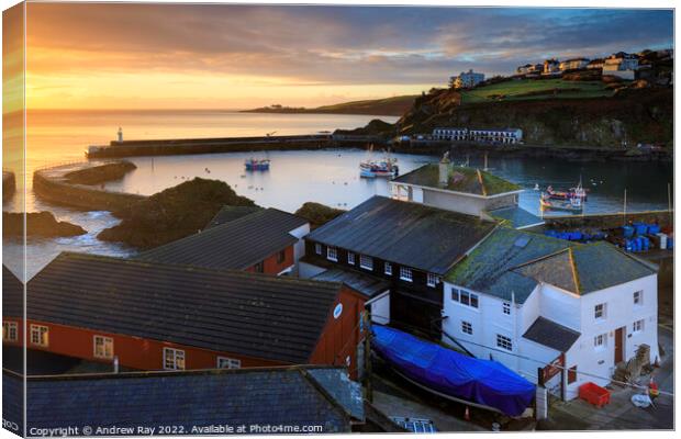 Winter morning (Mevagissey) Canvas Print by Andrew Ray