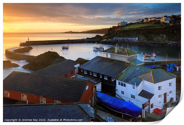 Winter morning (Mevagissey) Print by Andrew Ray