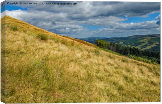 Tor y Foel Hill above Talybont Valley Canvas Print by Nick Jenkins