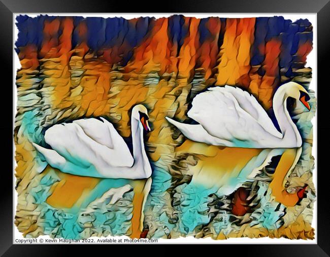 Swans On The Lake 3 (Digital Art) Framed Print by Kevin Maughan