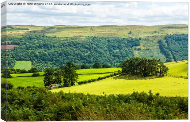 The view across Duffryn Crawnon Valley   Canvas Print by Nick Jenkins