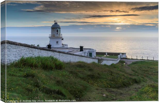 Summer at Pendeen Lighthouse Canvas Print by Andrew Ray