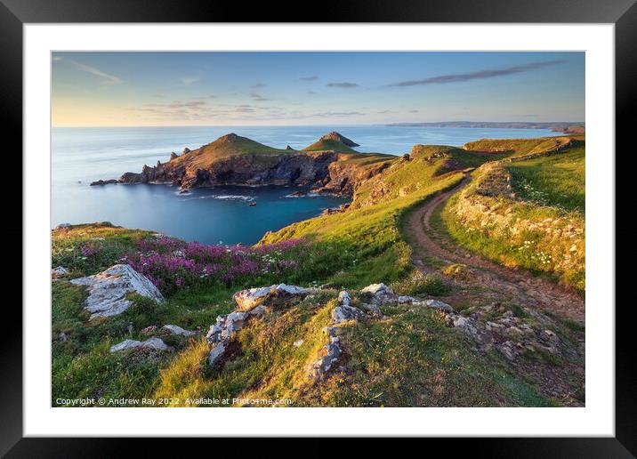 Evening light (The Rumps) Framed Mounted Print by Andrew Ray