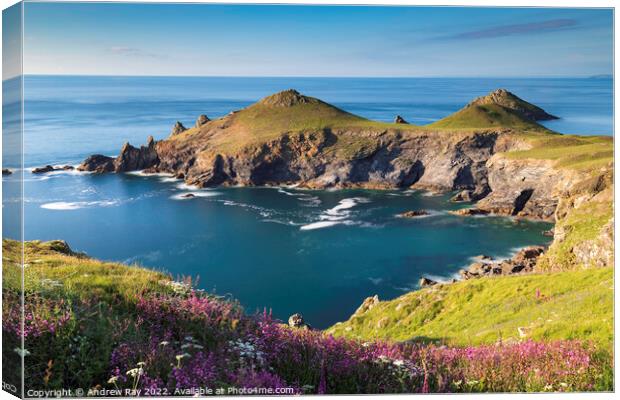 Spring at The Rumps Canvas Print by Andrew Ray