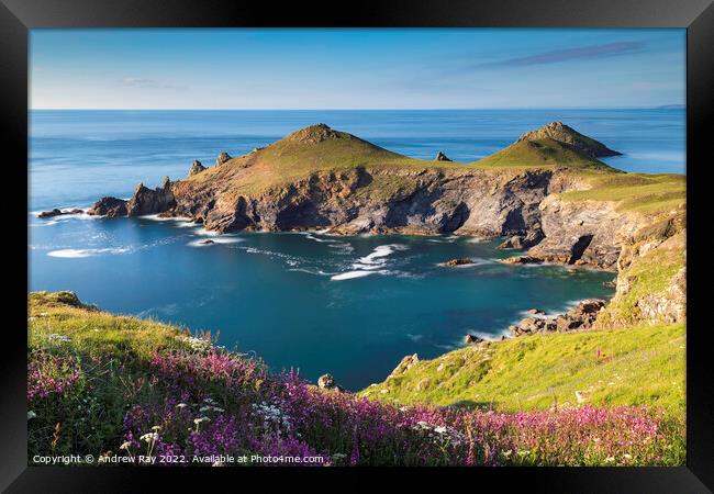Spring at The Rumps Framed Print by Andrew Ray