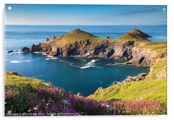 Spring at The Rumps Acrylic by Andrew Ray