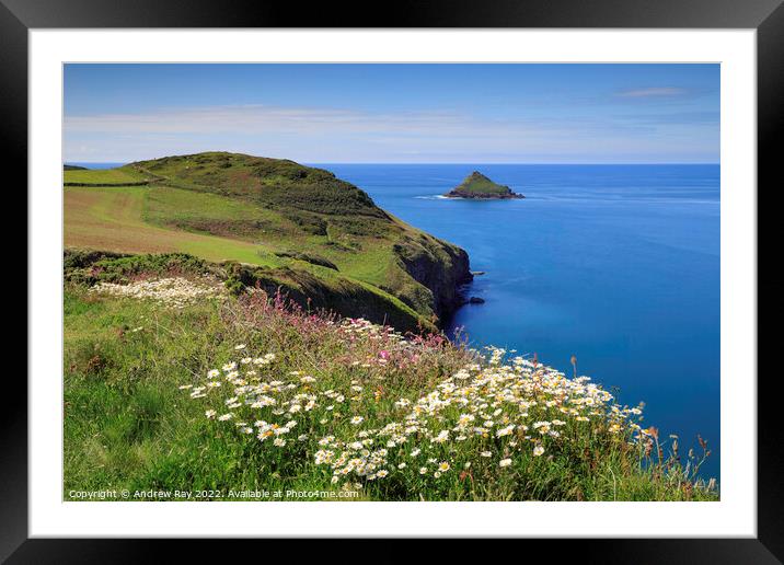 Spring flowers at The Rumps Framed Mounted Print by Andrew Ray