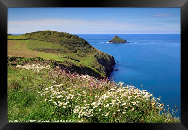 Spring flowers at The Rumps Framed Print by Andrew Ray