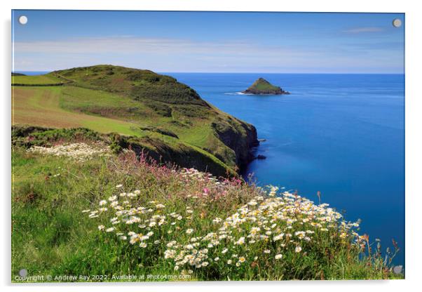 Spring flowers at The Rumps Acrylic by Andrew Ray